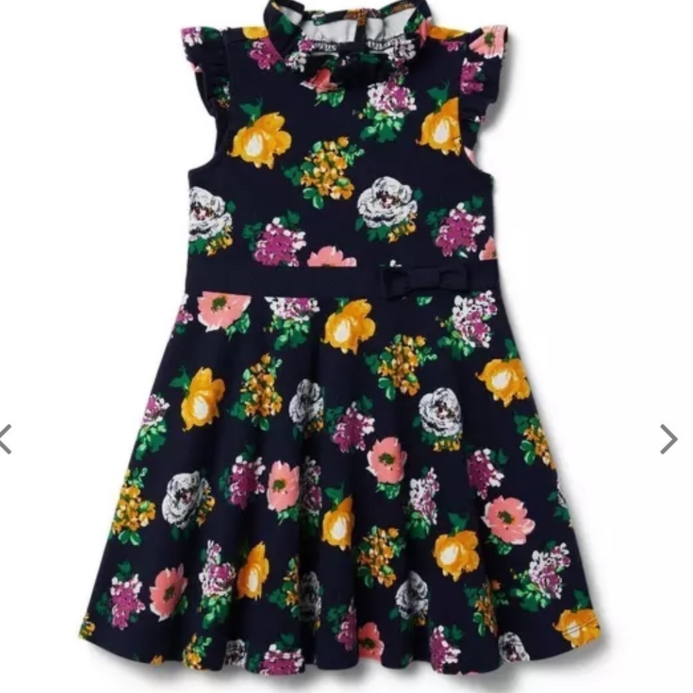 Janie and Jack Merchant Marine Floral Ponte Dress SIZE 3t